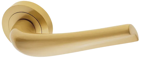 RAFT R2 OSA, ручка дверная, цвет - матовое золото фото купить Новокузнецк