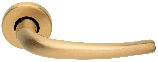 LILLA R3-E OSA, ручка дверная, цвет - матовое золото фото купить Новокузнецк